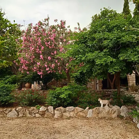 Villa Alegria House With Gardens Near Portoheli Kranidi Exterior foto