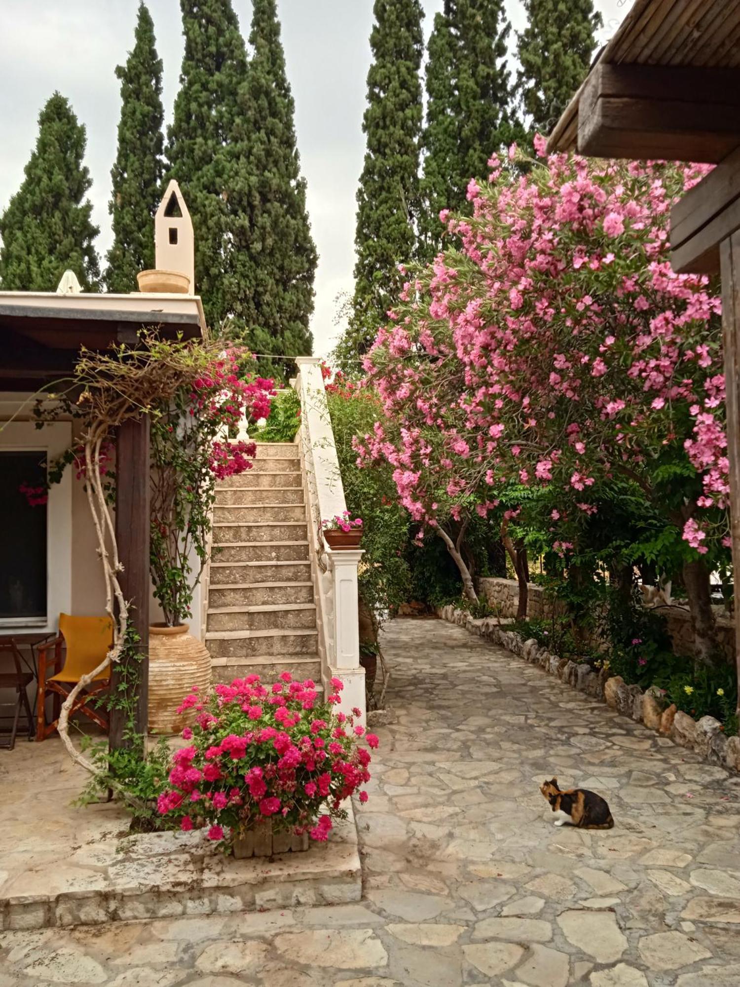 Alegria House With Gardens Near Portoheli Holiday home Kranidi