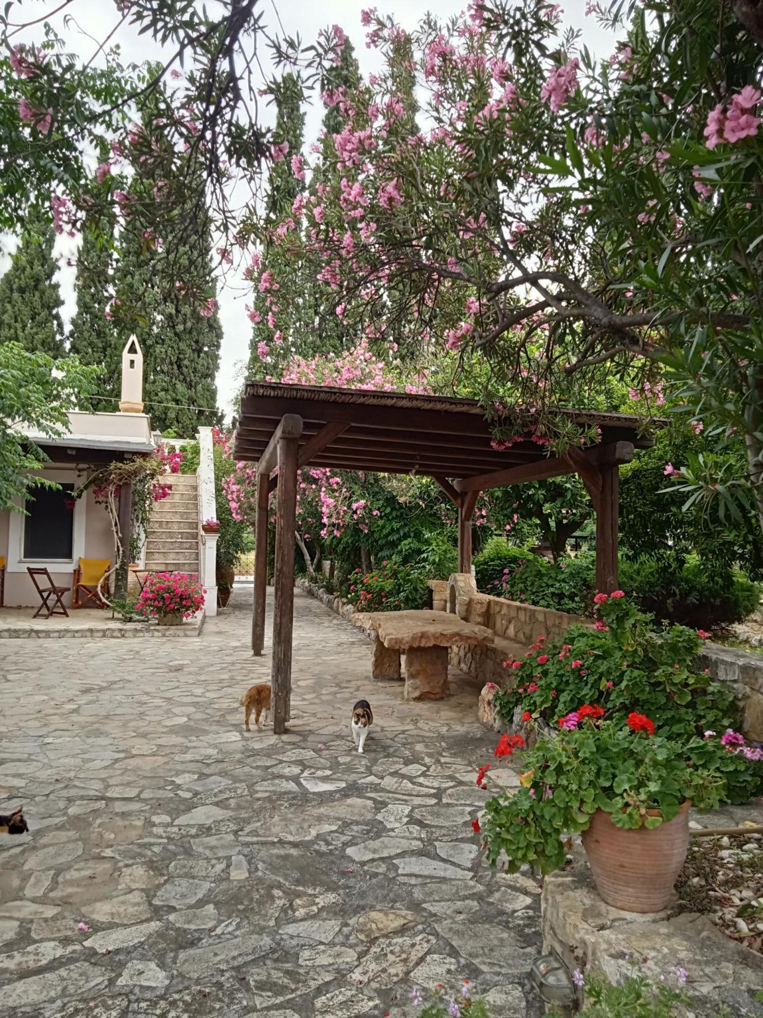 Alegria House With Gardens Near Portoheli Holiday home Kranidi