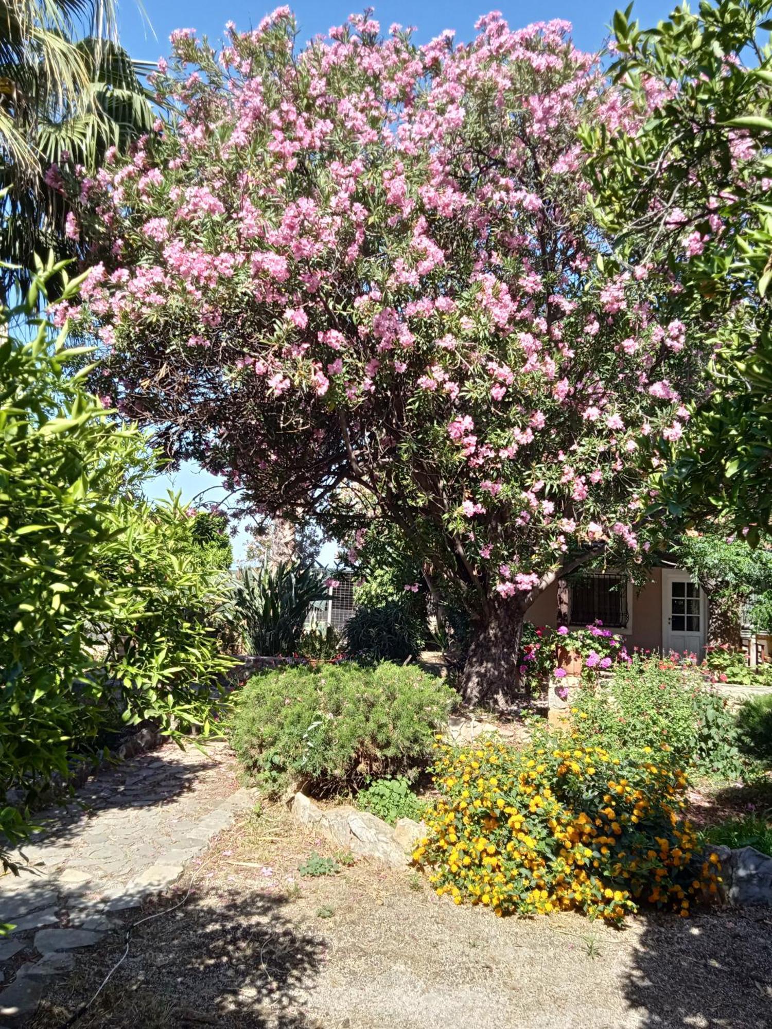 Alegria House With Gardens Near Portoheli Kranidi