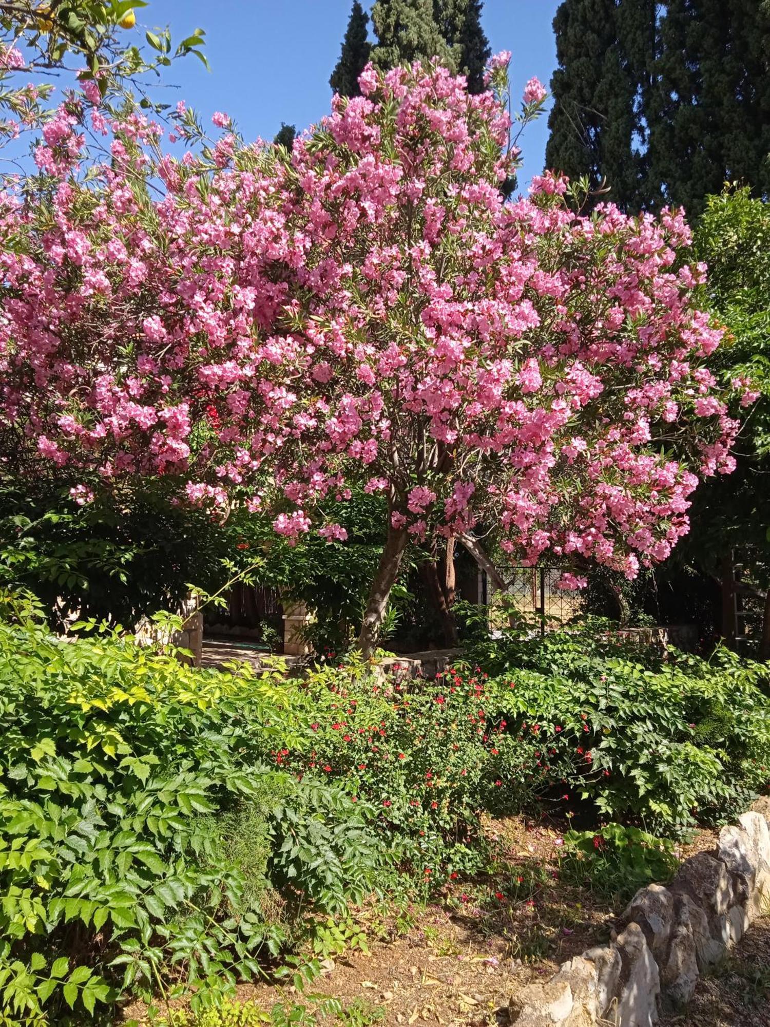 Alegria House With Gardens Near Portoheli Kranidi