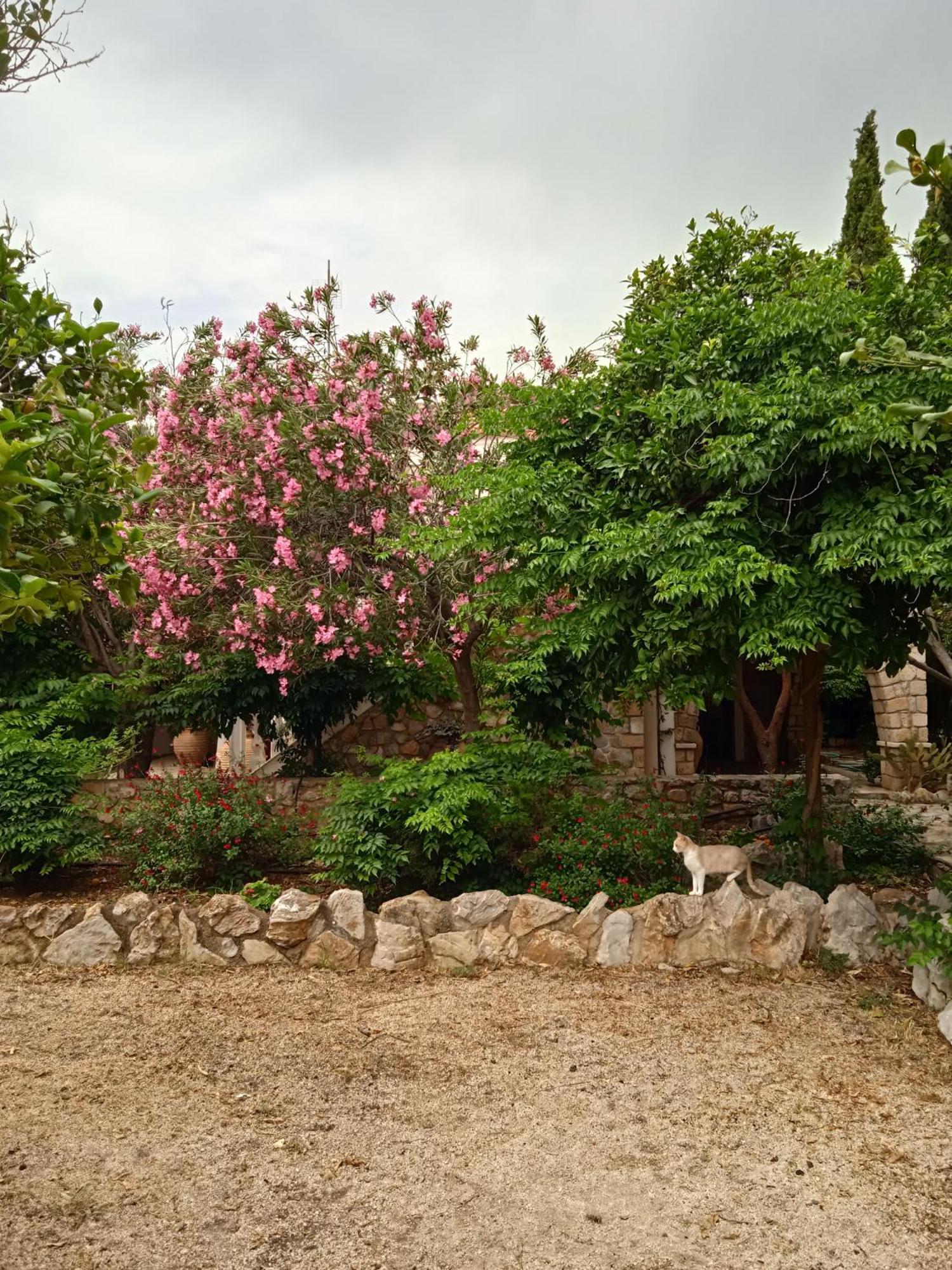 Holiday home Alegria House With Gardens Near Portoheli