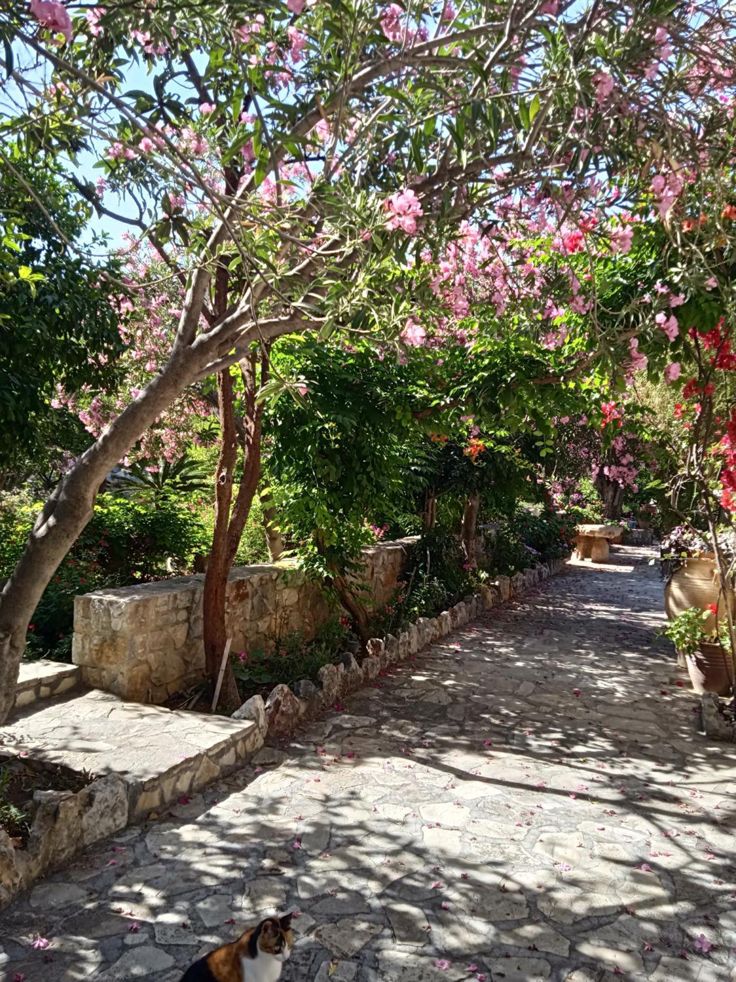 Alegria House With Gardens Near Portoheli