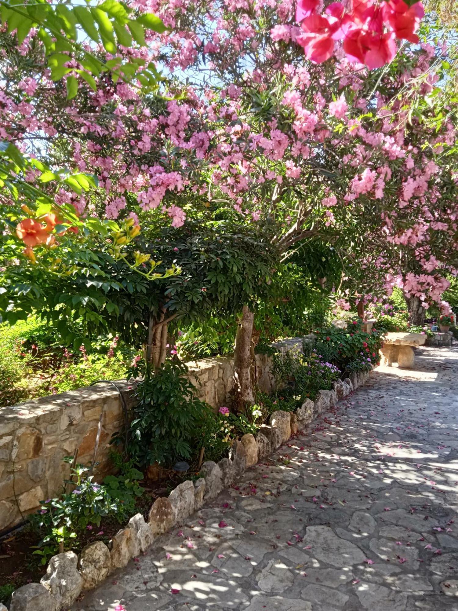 Alegria House With Gardens Near Portoheli Holiday home *