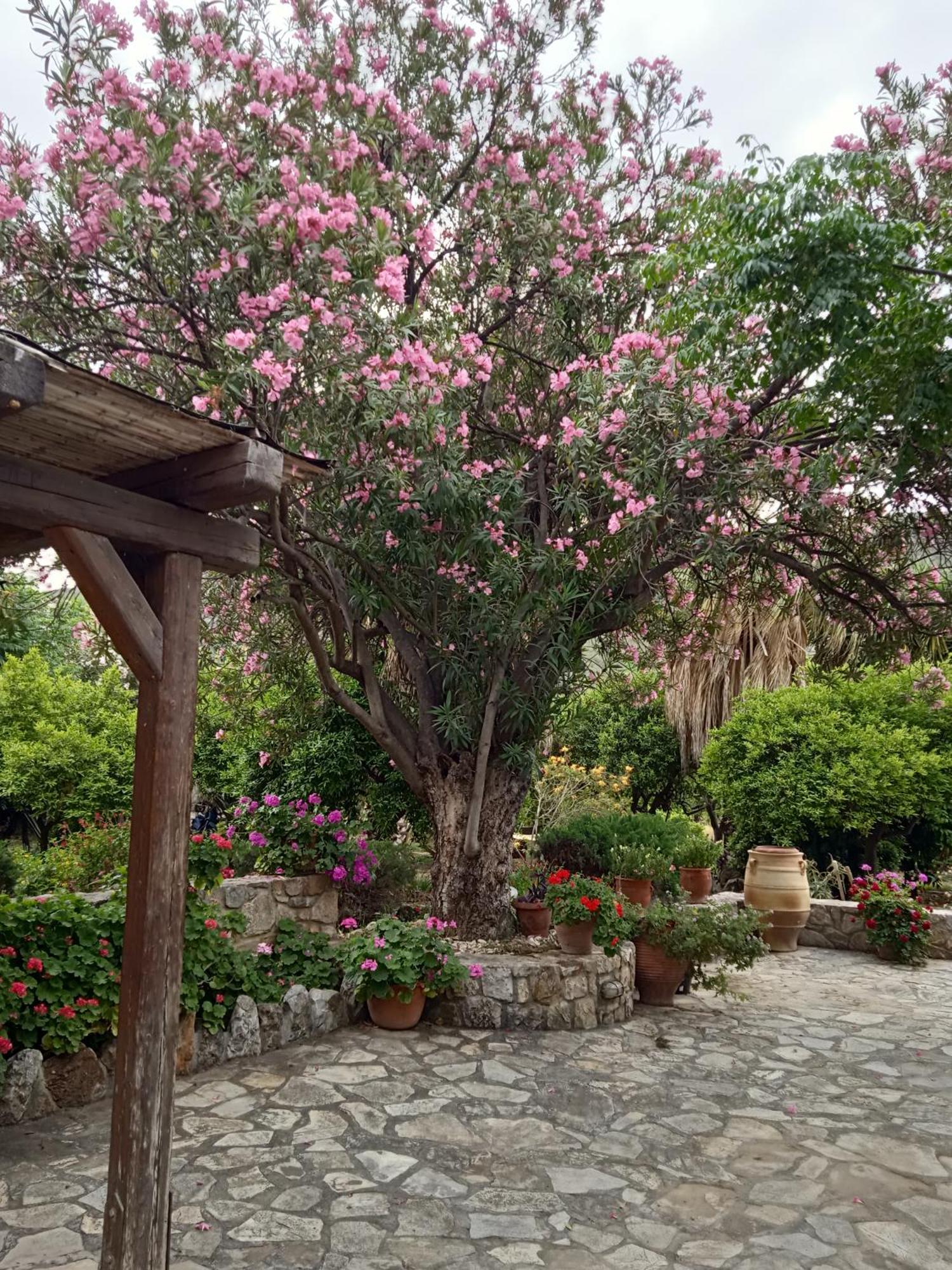 Holiday home Alegria House With Gardens Near Portoheli Kranidi