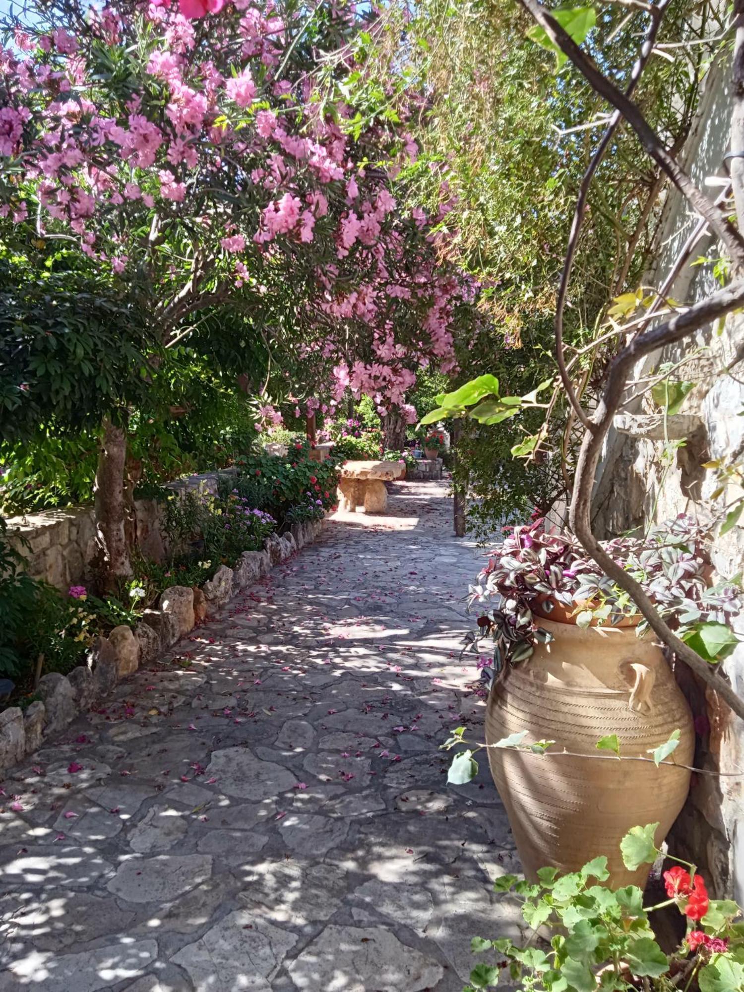 Holiday home Alegria House With Gardens Near Portoheli *