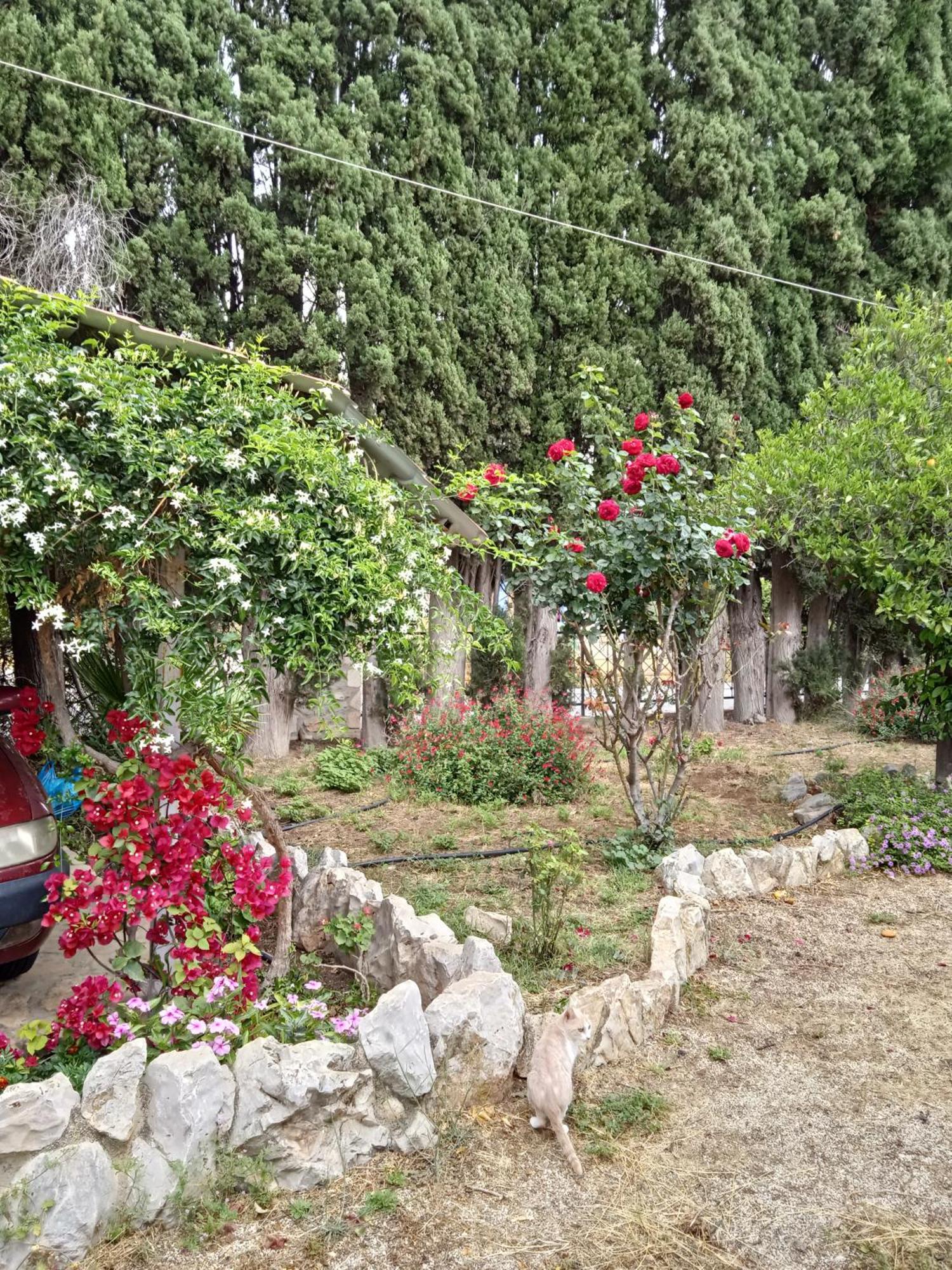 Holiday home Alegria House With Gardens Near Portoheli *