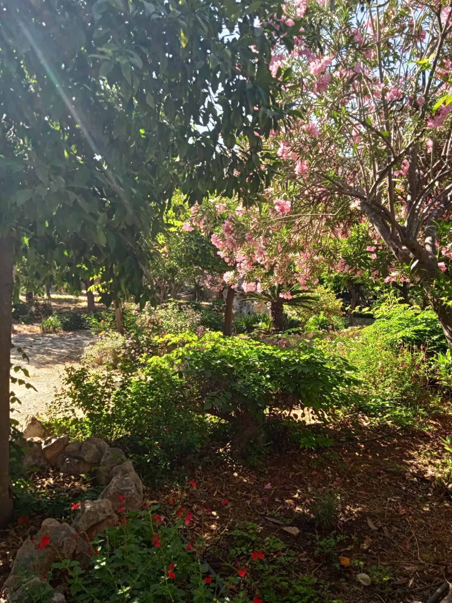 Holiday home Alegria House With Gardens Near Portoheli